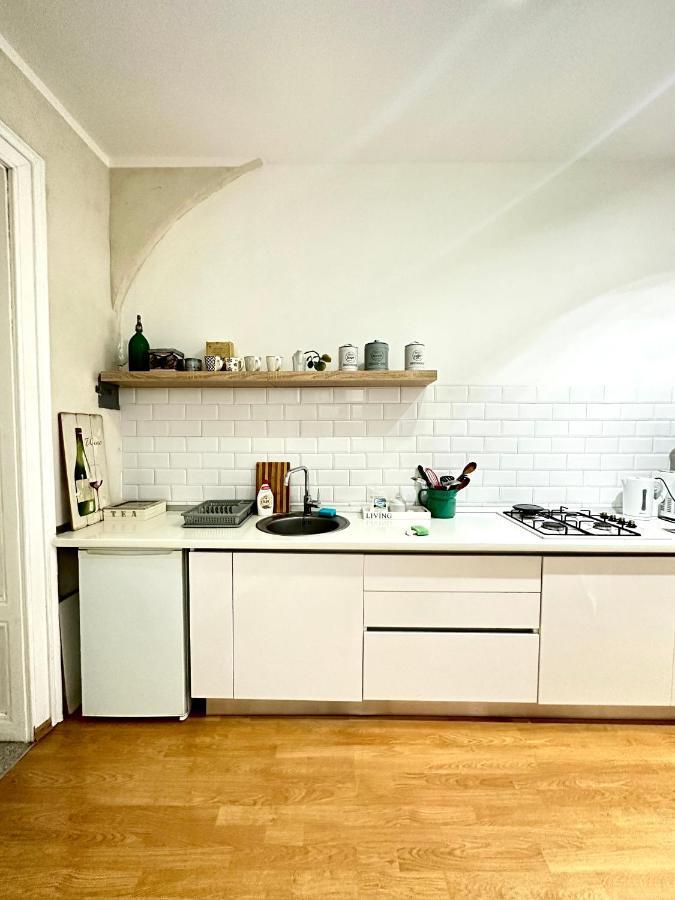 Charming Apartament City Center Timișoara Zewnętrze zdjęcie